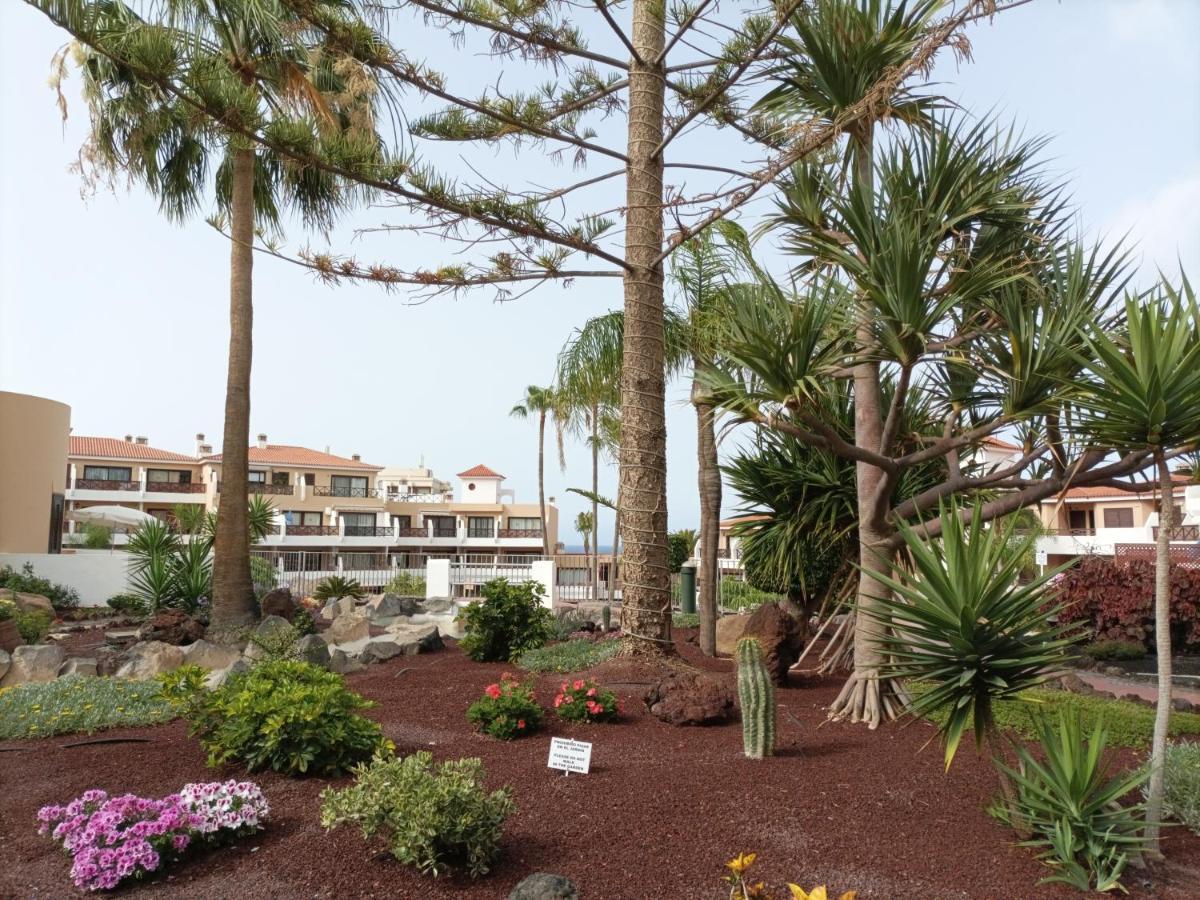 Estudio En Tenerife Con Piscina / Study Flat With Pool Apartment San Miguel de Abona Ngoại thất bức ảnh